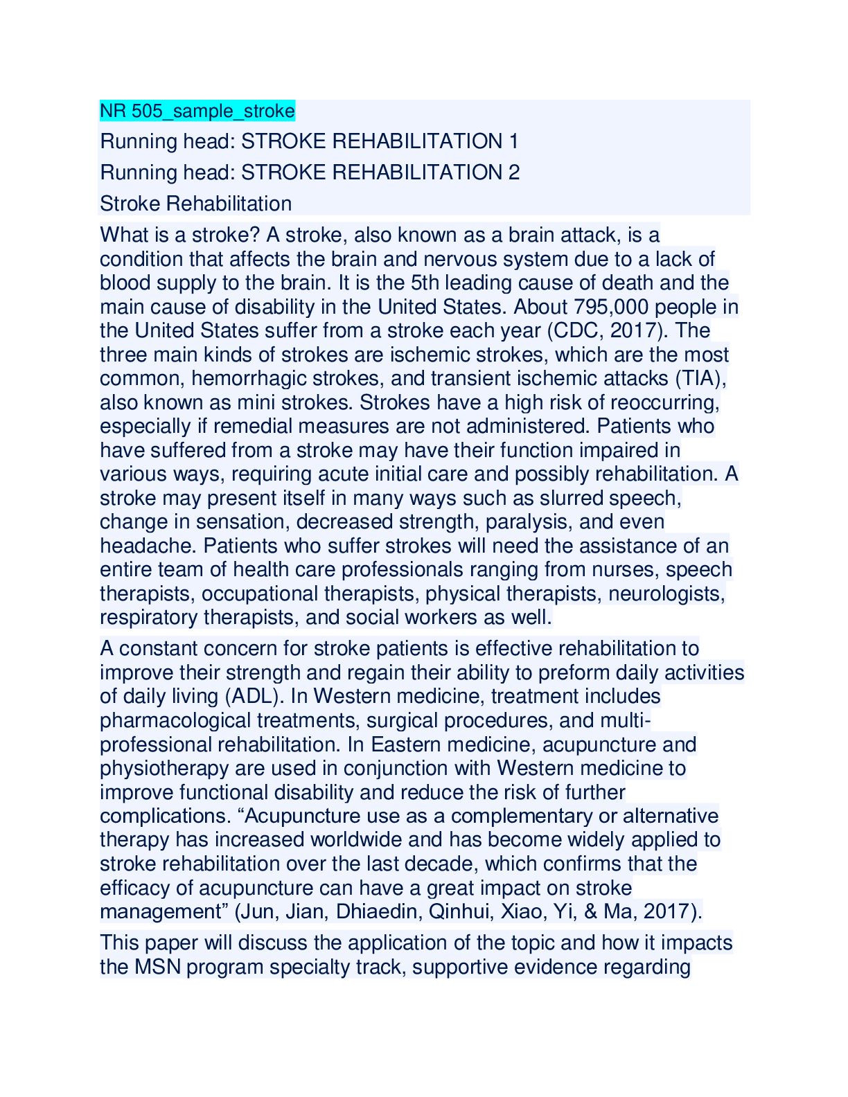 Preview image of NR 505_sample_stroke;Stroke Rehabilitation document